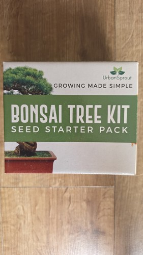 Urbansprout bonsai tree kit - bonsai,