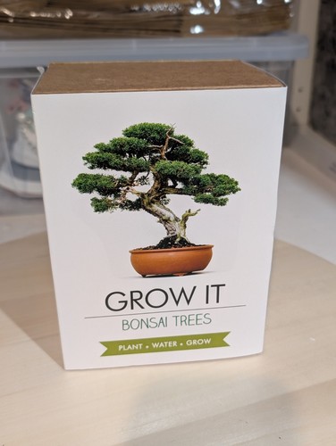 Gift republic grow bonsai - gift, it