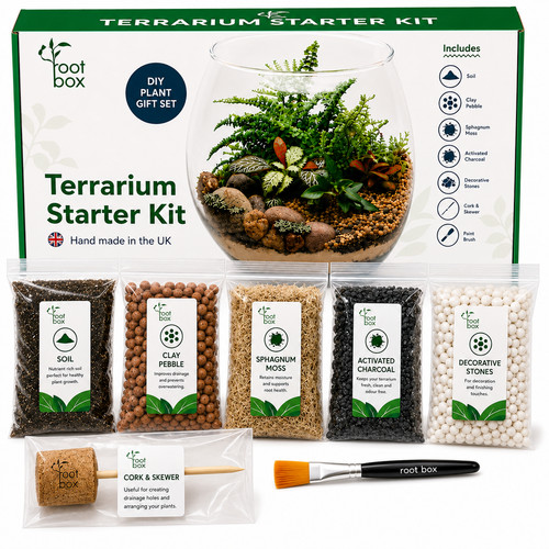 Rootbox terrarium kit - terrarium, |