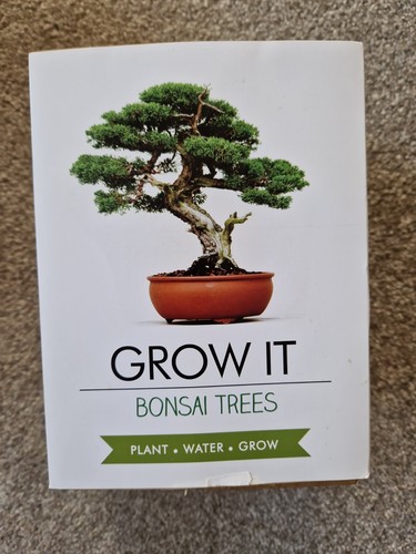Bonsai tree grow kit - bonsai,