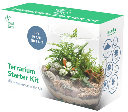 Rootbox terrarium kit - terrarium,