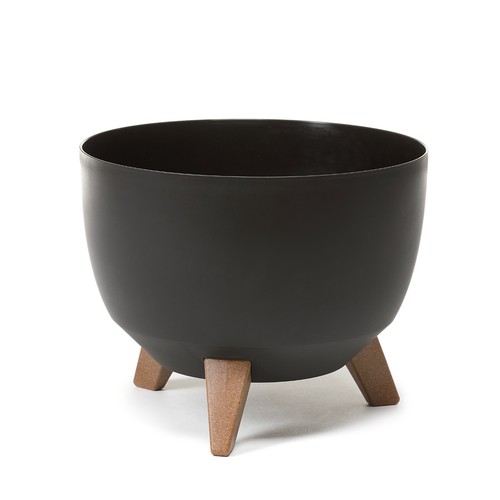 Spring best offer black - offer, plant