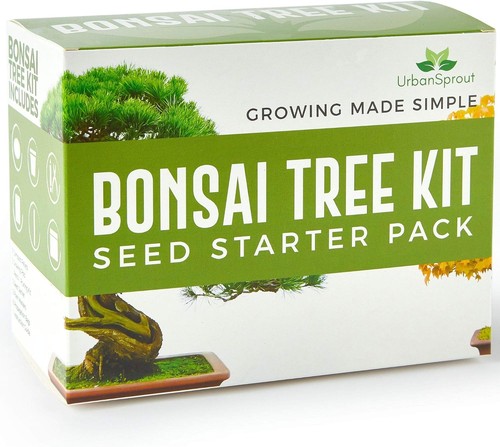 Urban sprout bonsai - sprout, kit