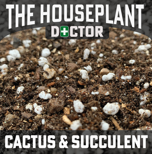 Cactus succulent potting mix - cactus,