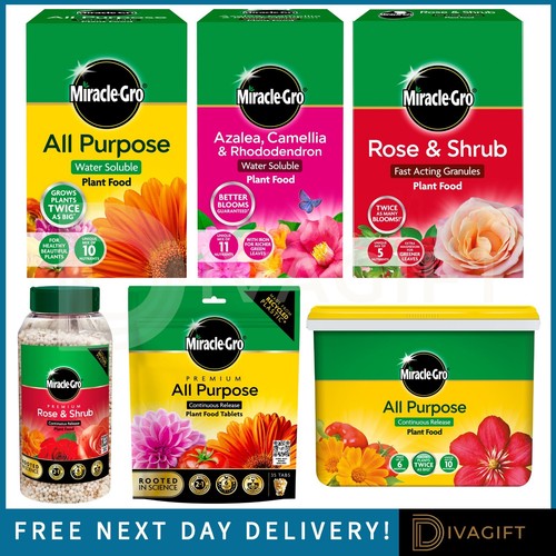 Miracle gro plant food all - food,